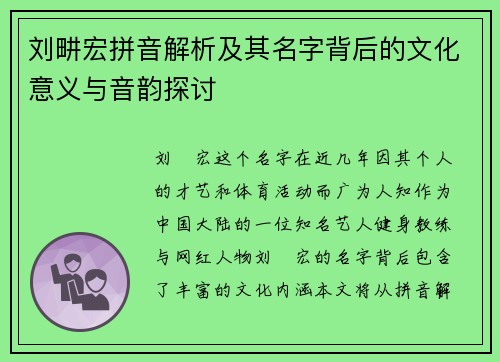 刘畊宏拼音解析及其名字背后的文化意义与音韵探讨